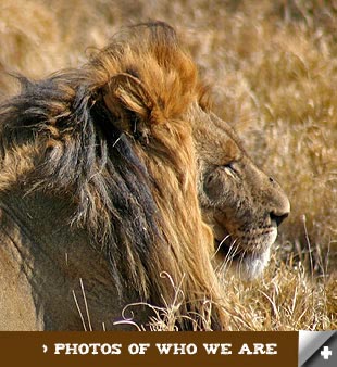 Fotos de Quienes Somos